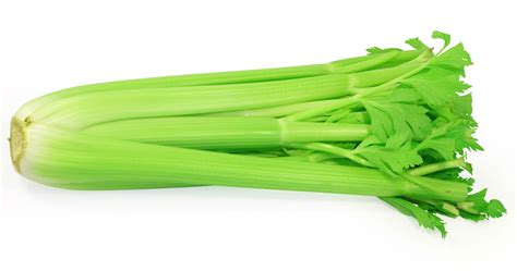 Celery .